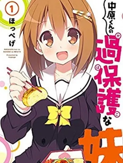 中原过度保护的妹妹封面