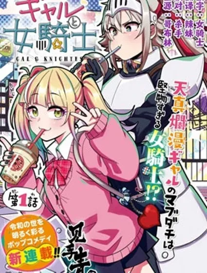 辣妹与女骑士封面