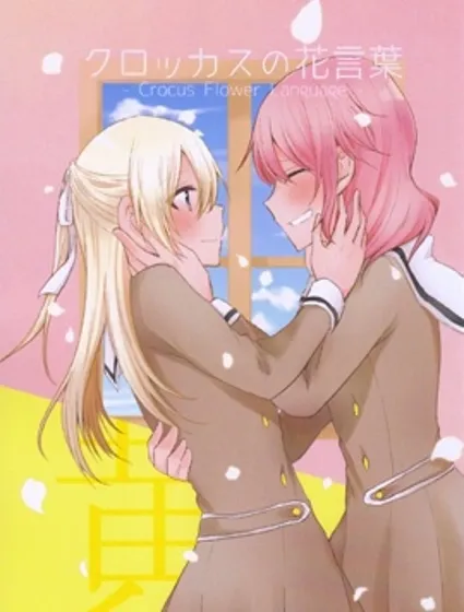 番紅花的花語封面