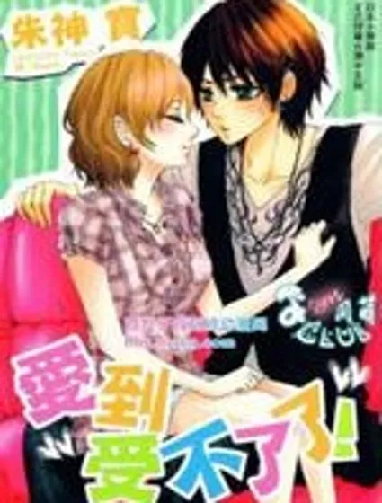 愛到受不了了封面