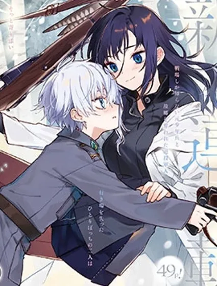 灰與銀之羽翼封面