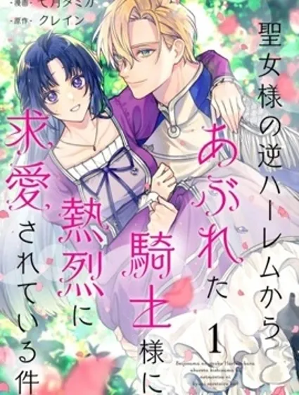 關於我被跳出聖女大人逆後宮的騎士大人熱烈求愛這件事封面