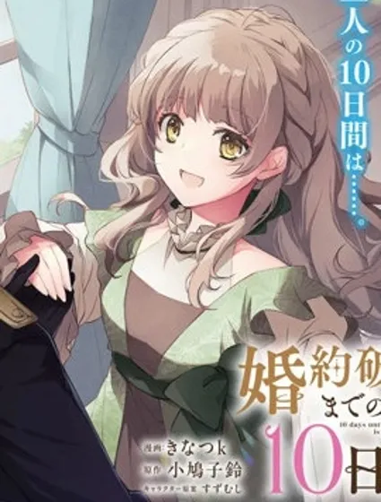 婚約作廢前的十天封面