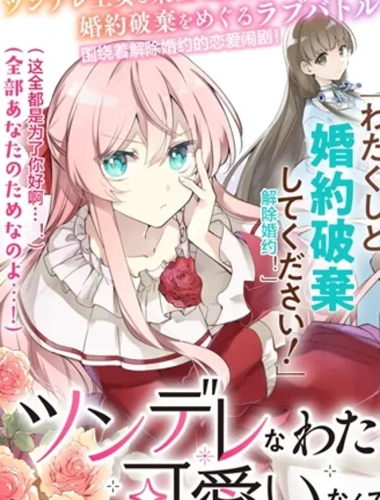 居然說傲嬌的我很可愛，你是認真的嗎？封面