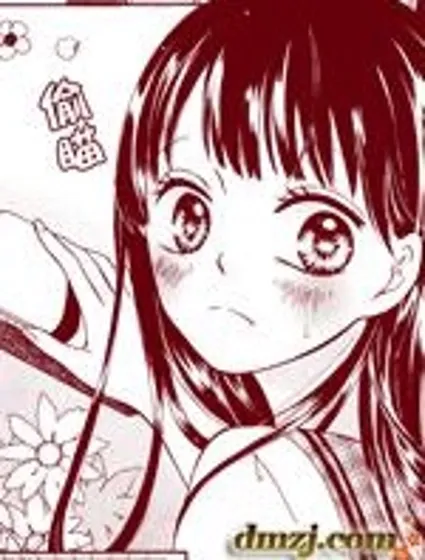 夏日、太陽雨封面