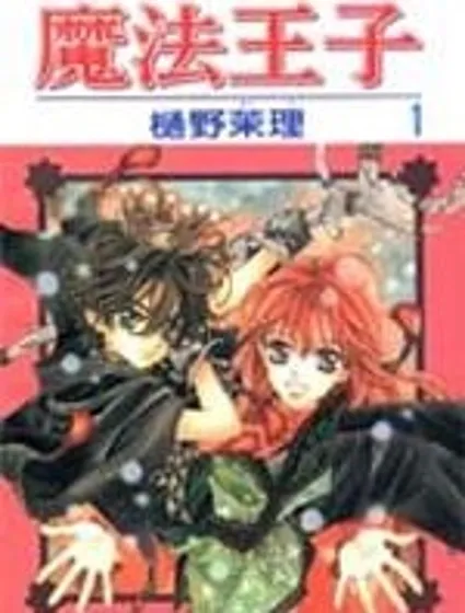 魔法王子封面
