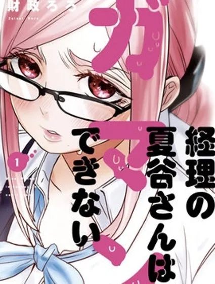 寂寞難抑的夏谷會計封面