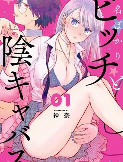 純潔碧池與陰角魅魔封面