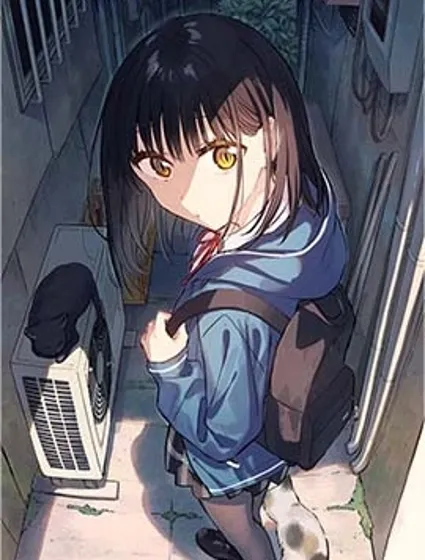 与猫相邻尚不识恋封面