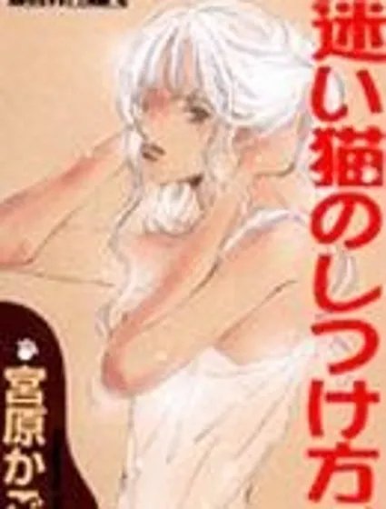 迷路貓咪的飼養方法封面