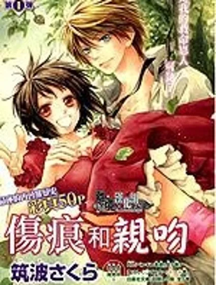 傷痕與親吻封面