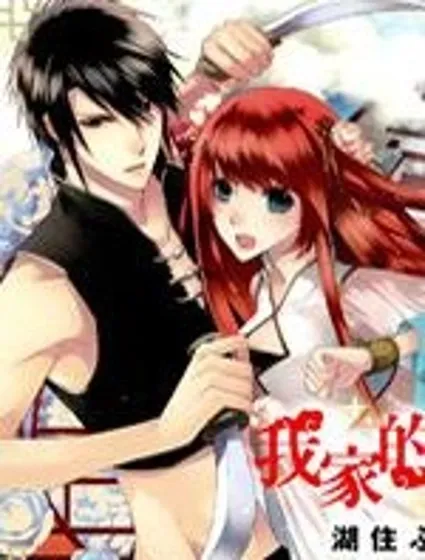 我家的陛下是新手喲封面