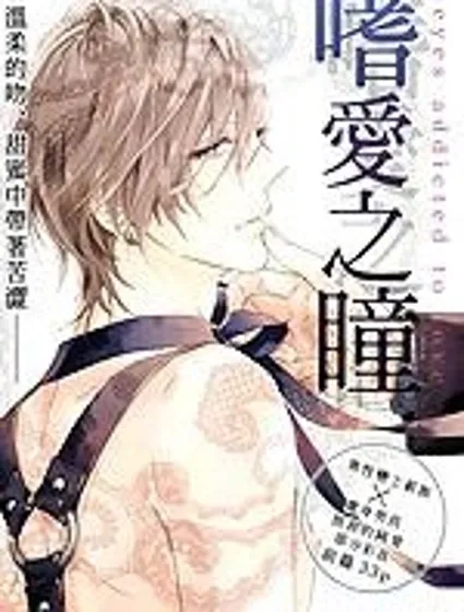 嗜愛之瞳封面