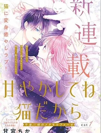 快来宠我嘛！我可是猫猫封面