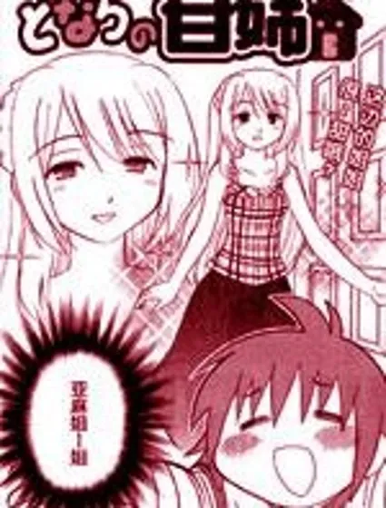 邻家的甘姐封面