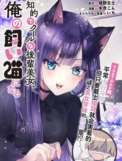 知性冰山美人学妹成了我的猫封面