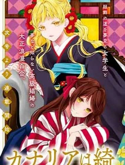 金絲雀渴望閃耀繁星封面