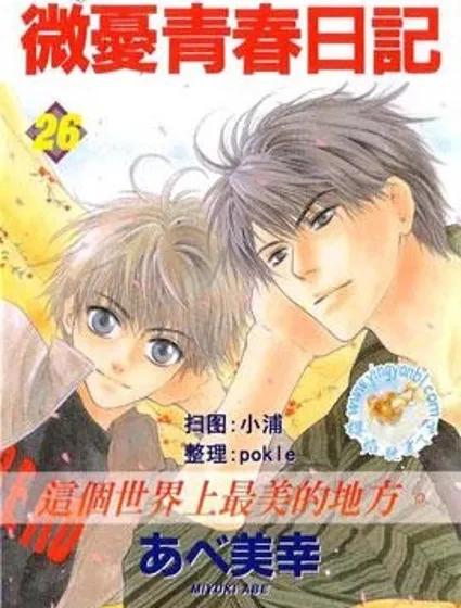微憂青春日記封面