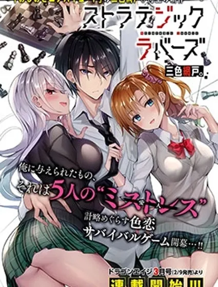 strategic lovers封面