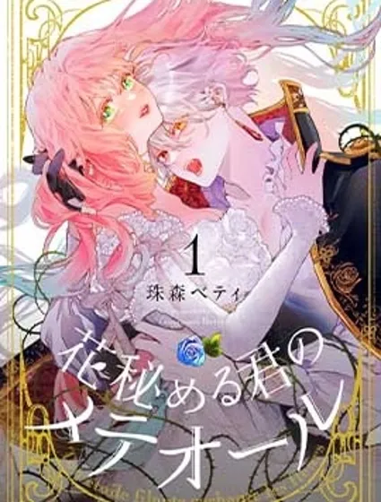 君掩花間流星將至封面