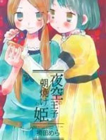 夜空王子和晚霞公主封面