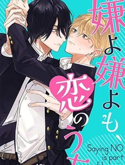 愛你在心口難開封面