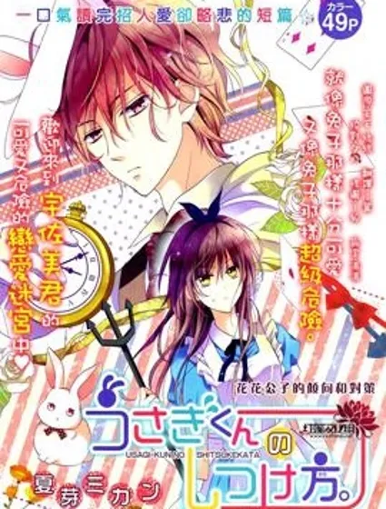 兔子先生的調教方法封面