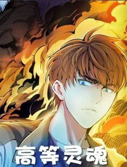 高等灵魂封面