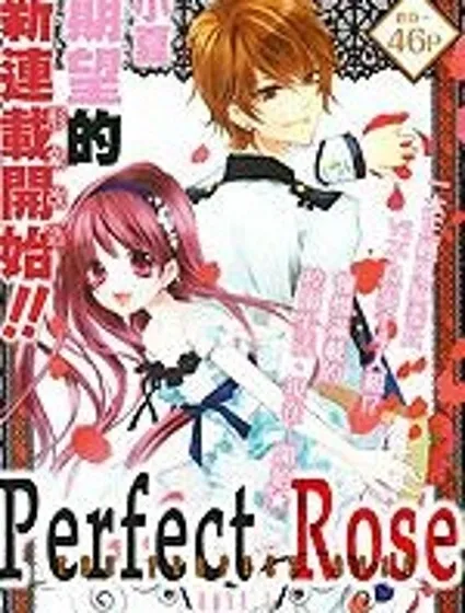 完美薔薇封面