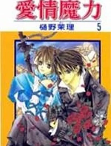 愛情魔力封面