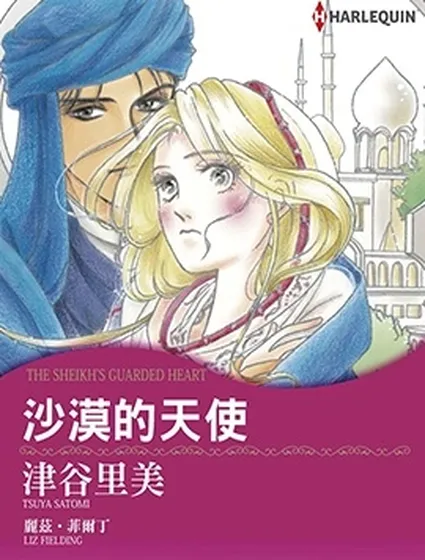 沙漠的天使封面