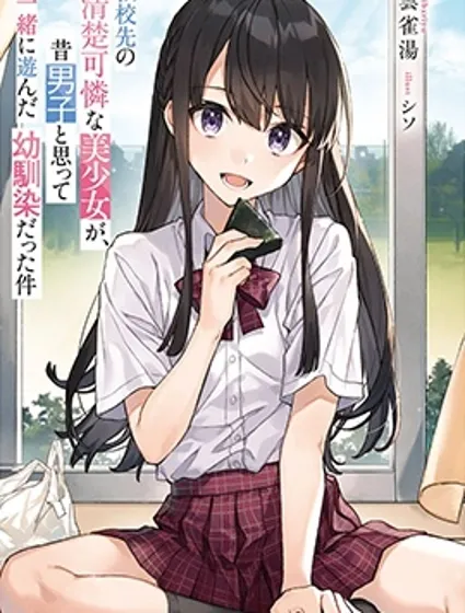 我在转校后遇到的清纯可爱美少女，是我曾认为是男孩子并一块玩耍过的青梅竹马的这件事封面