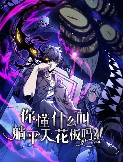 你懂什么叫躺平天花板吗封面