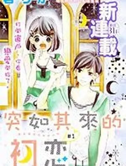 突如其來的初戀封面