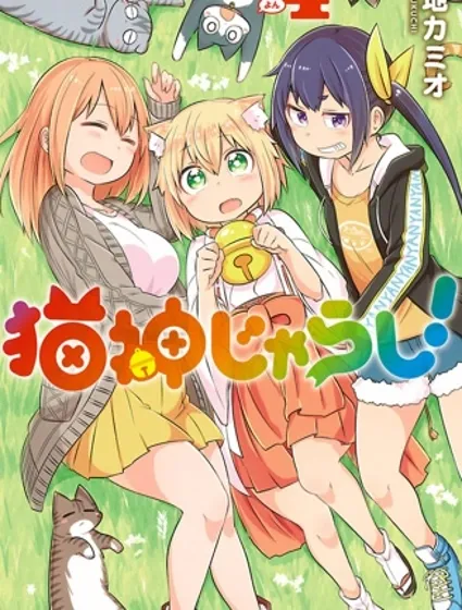 猫神逗猫草！封面