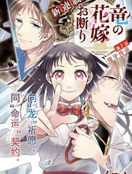龙的新娘我拒绝封面