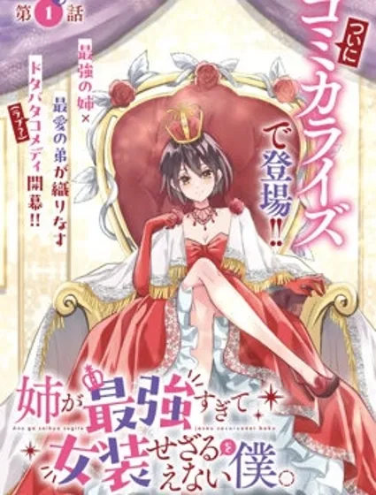 姐姐太強而不得不女裝的我封面