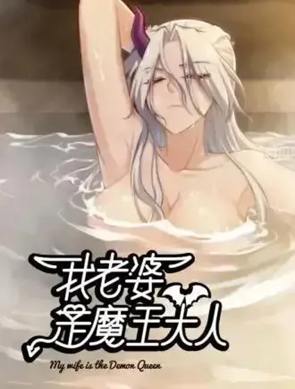 我老婆是魔王大人封面