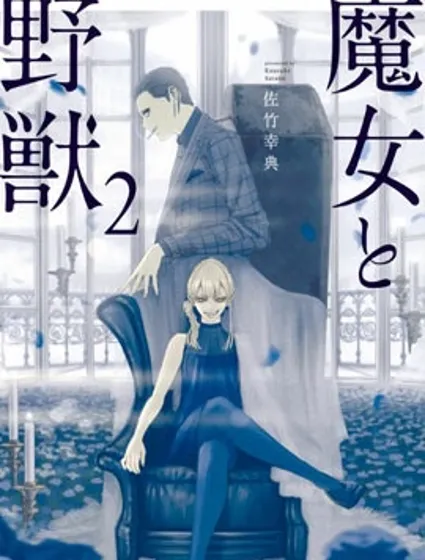 魔女与野兽封面