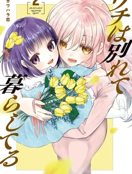 从离婚开始的家庭生活封面