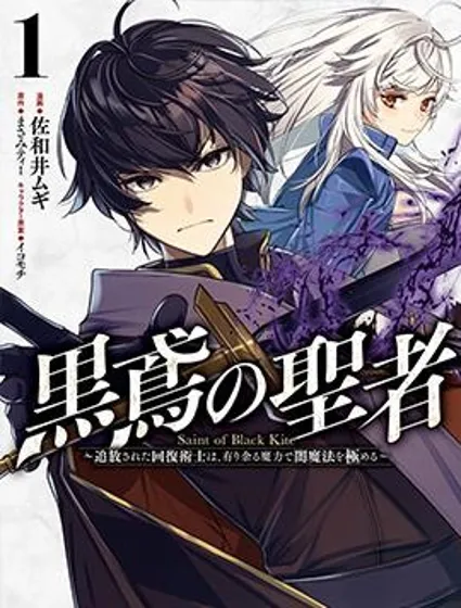 黑鸢的圣者封面