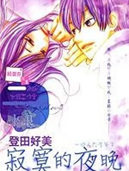 寂寞的夜晚封面