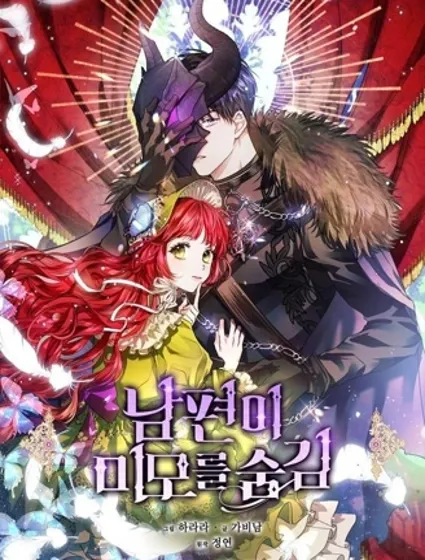 丈夫隐藏了他的容貌封面