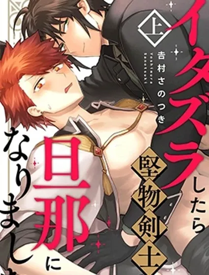 惡作劇之後耿直劍士變成了老公封面