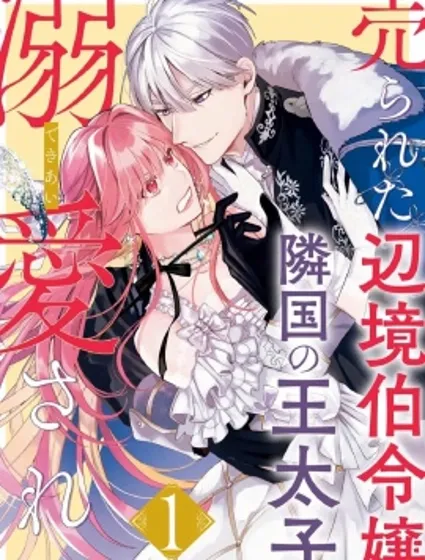 被卖掉的的边境伯爵大小姐却被邻国王太子所溺爱封面