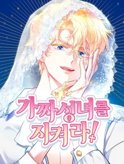 保護假聖女封面