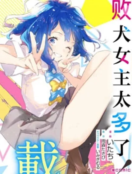败犬女主太多了封面