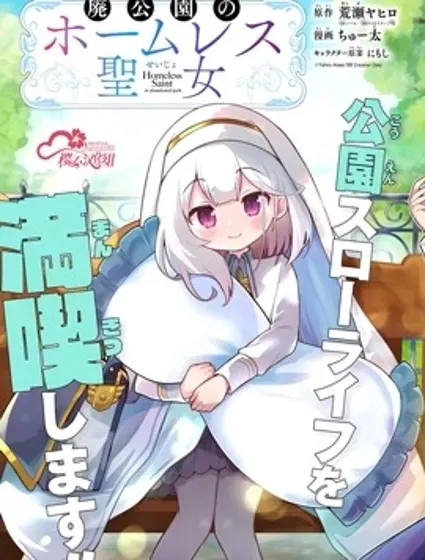 廢棄公園的無家聖女封面