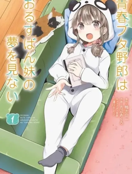 青春期笨蛋不做娇怜看家妹的梦封面