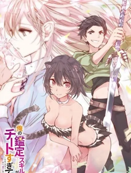 我的鉴定技能强过头了封面